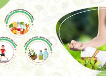 Benefits of Ayurveda