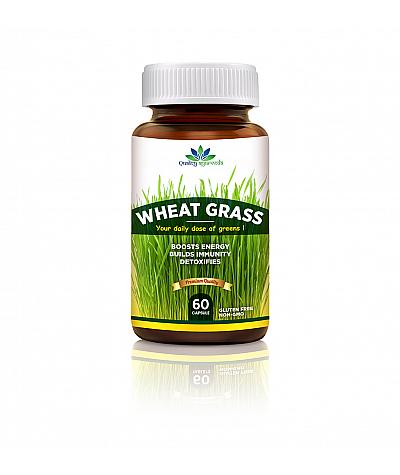 Quality Ayurveda Wheat Grass Immunity Booster & Blood Purifier 