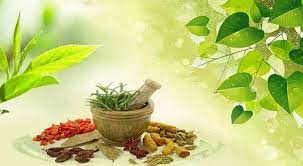 Healthy Ayurveda Medicine from Himalayas- Ayurveda Mega Store