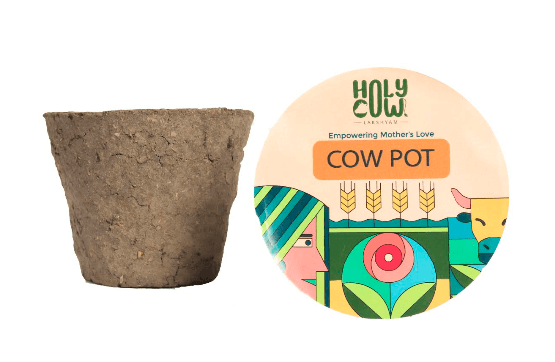 Buy Holy Cow Dung Pot at Best Price Online