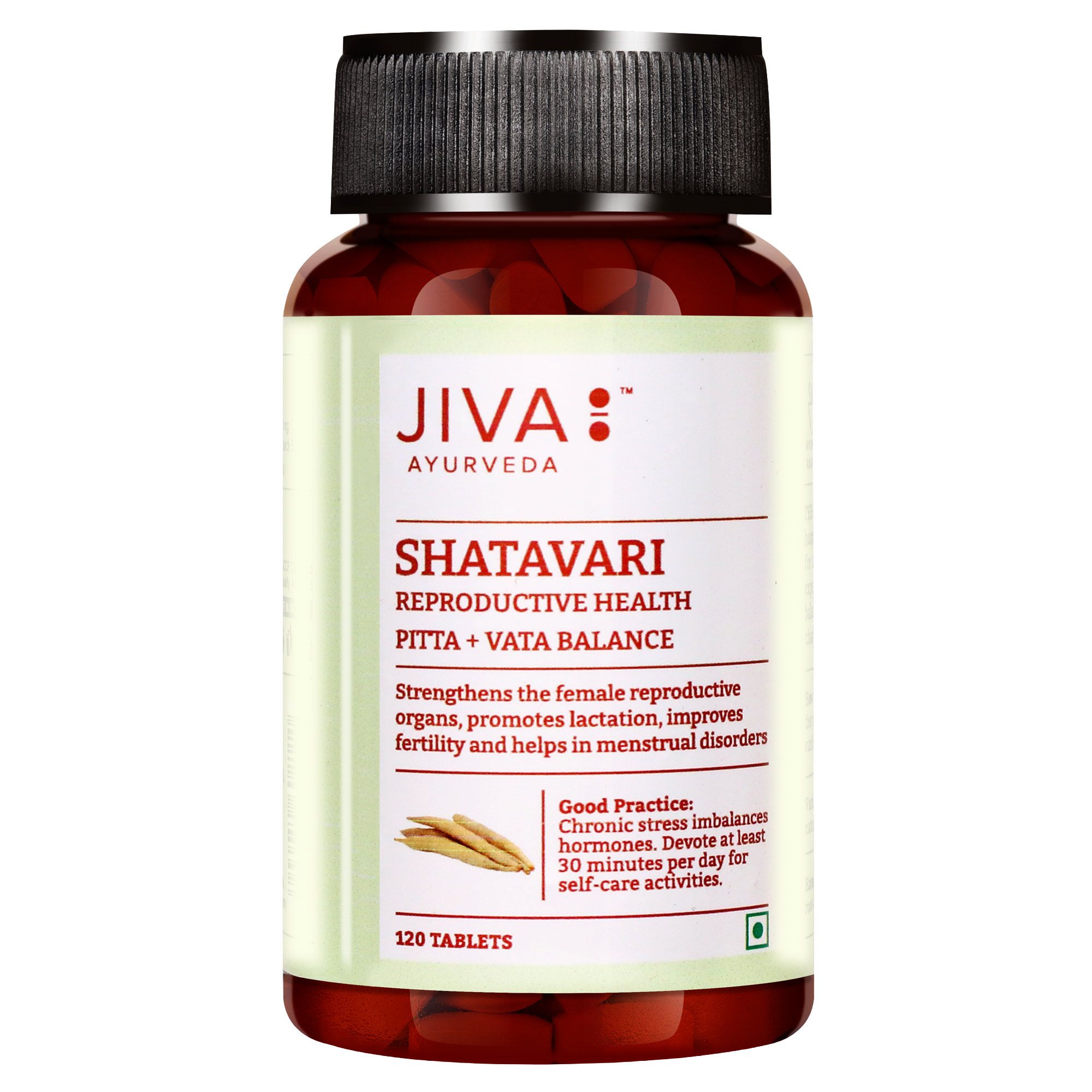 Jiva Ayurveda Shatavari Tablets