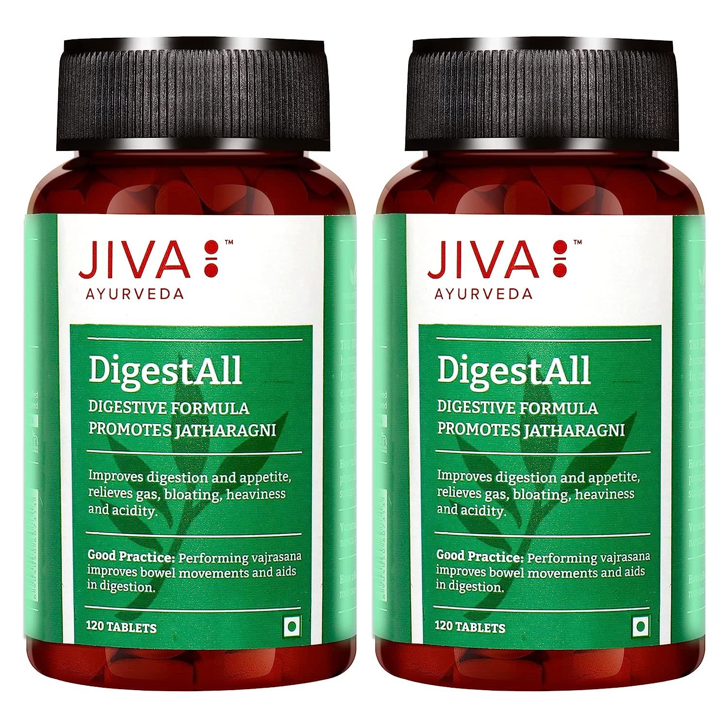 Jiva Ayurveda DigestAll 120 Tablets