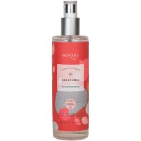 Mantra Indian Rose Water Refreshing Toner