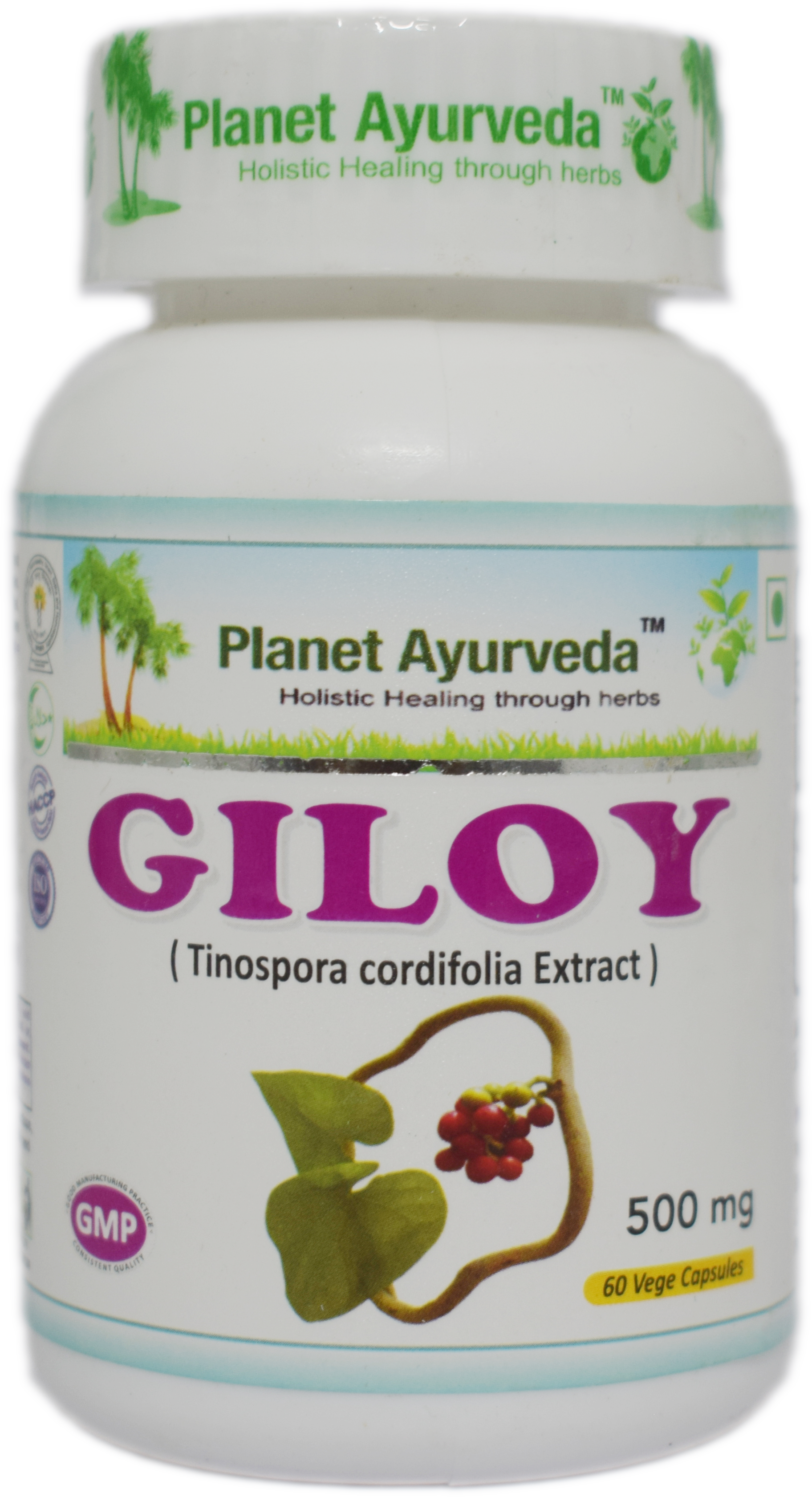 Buy Planet Ayurveda Giloy Capsules at Best Price Online