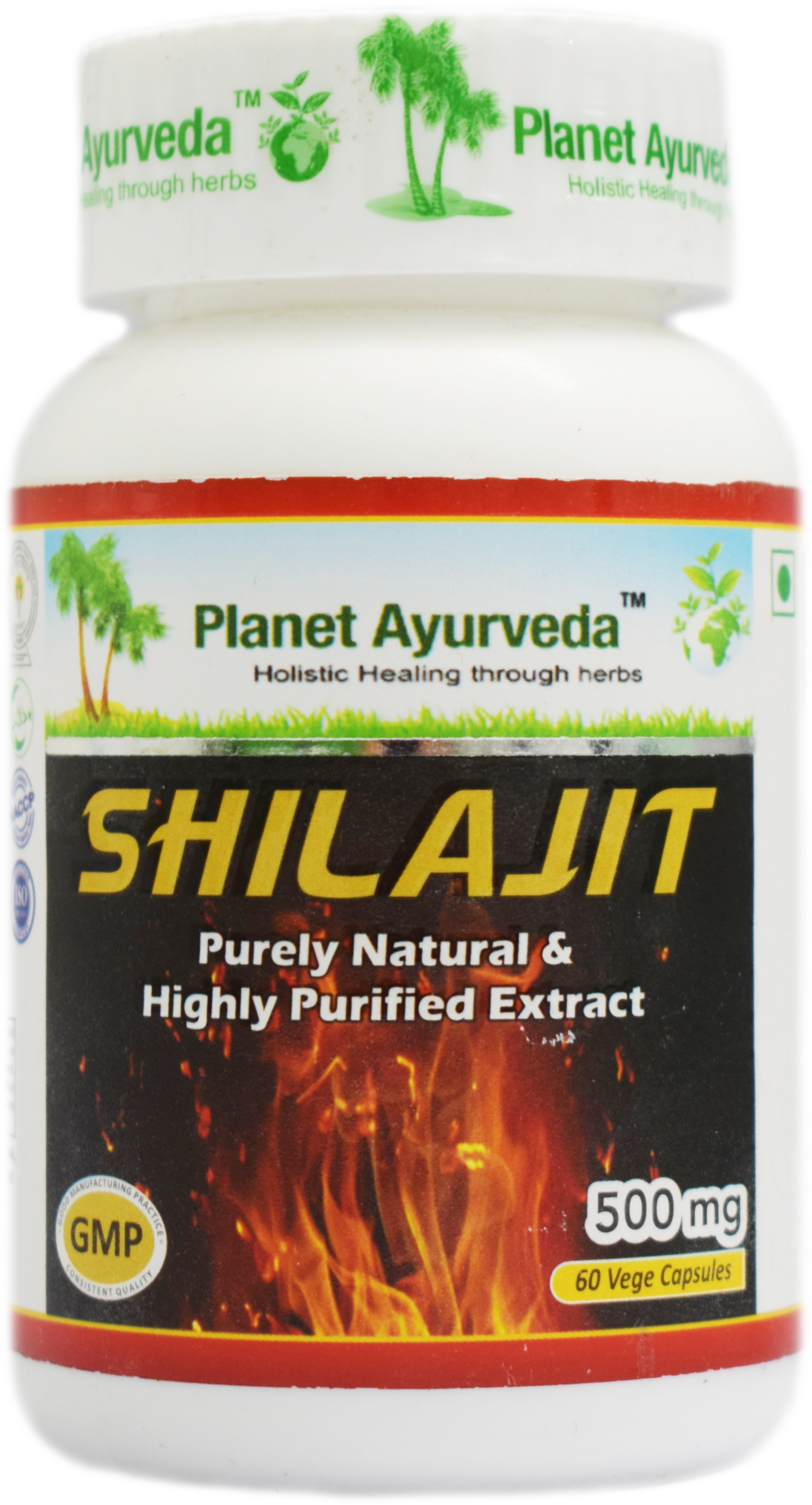 Buy Planet Ayurveda Shilajit Capsules at Best Price Online