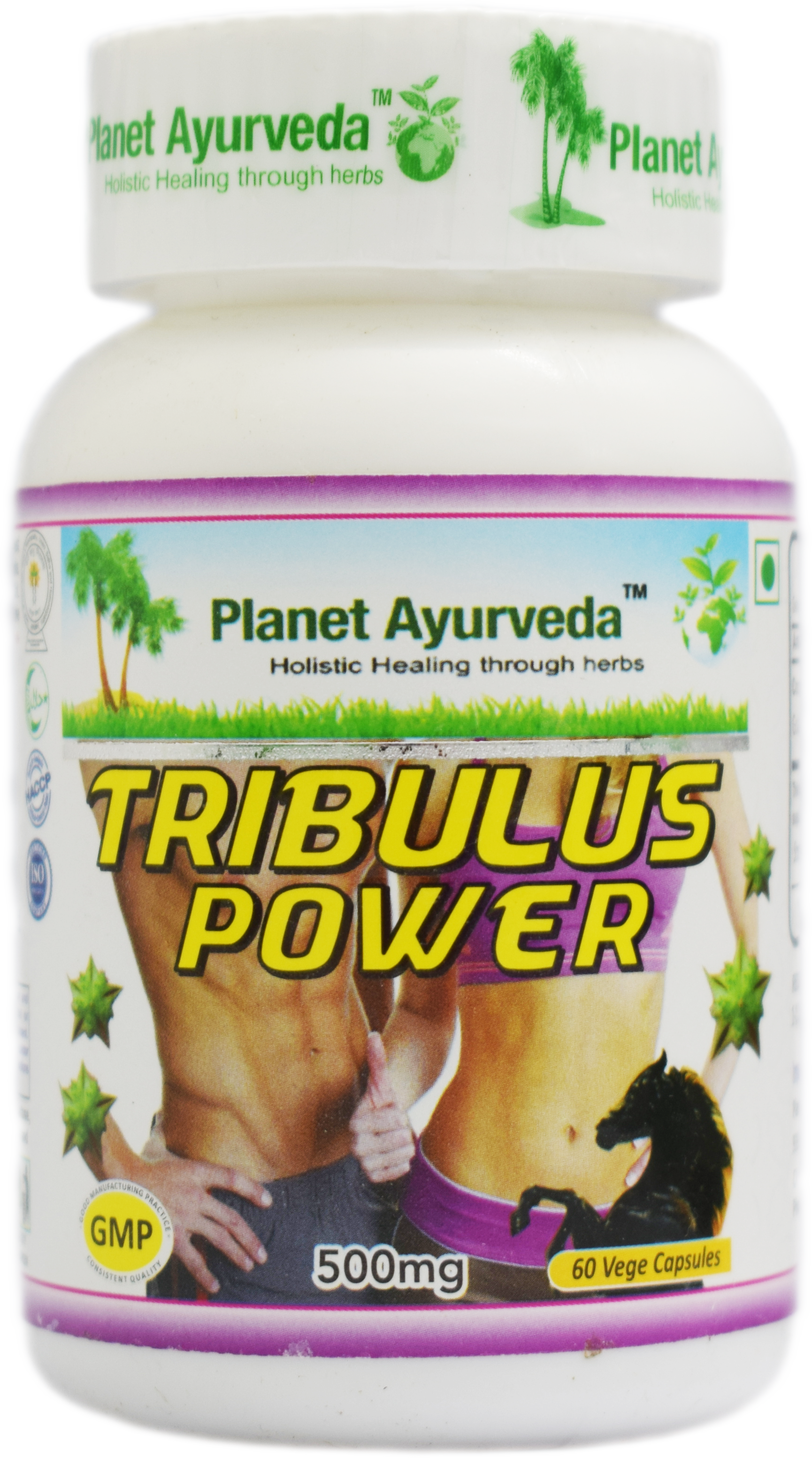 Buy Planet Ayurveda Tribulus Power Capsules at Best Price Online