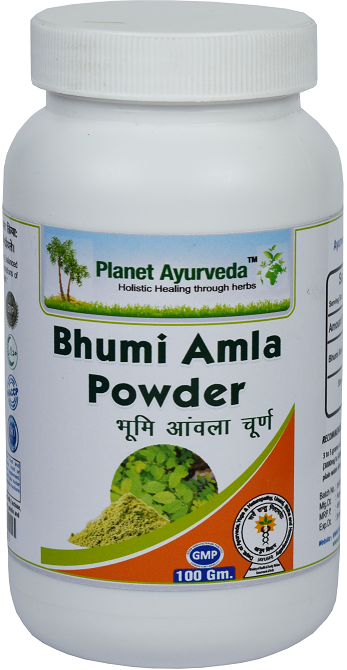 Planet Ayurveda Bhumi Amla Powder