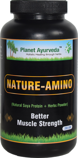 Planet Ayurveda Nature Amino Powder