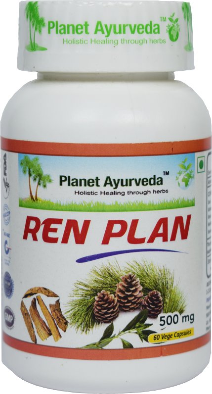 Buy Planet Ayurveda Ren Plan Capsules at Best Price Online