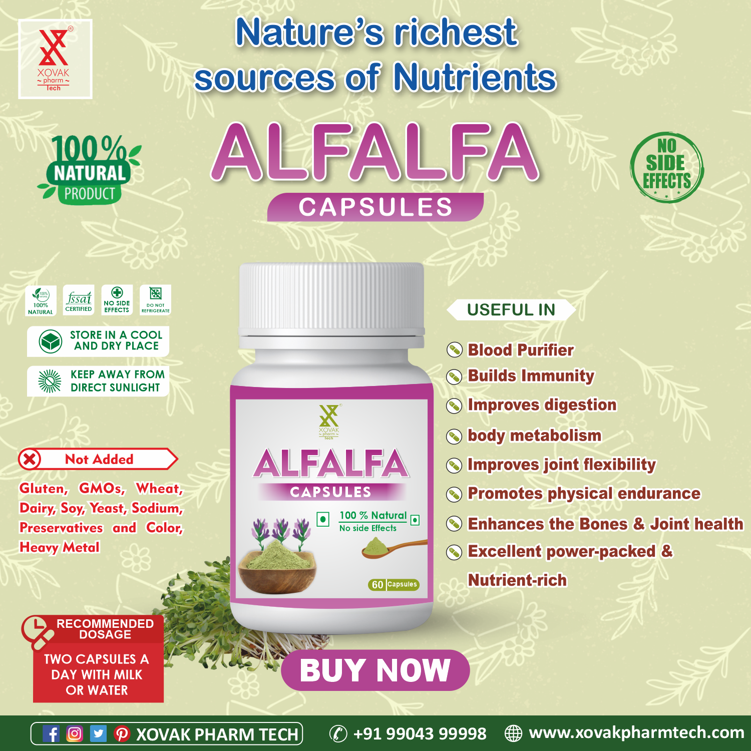 Buy Xovak Organic Alfalfa Capsules at Best Price Online