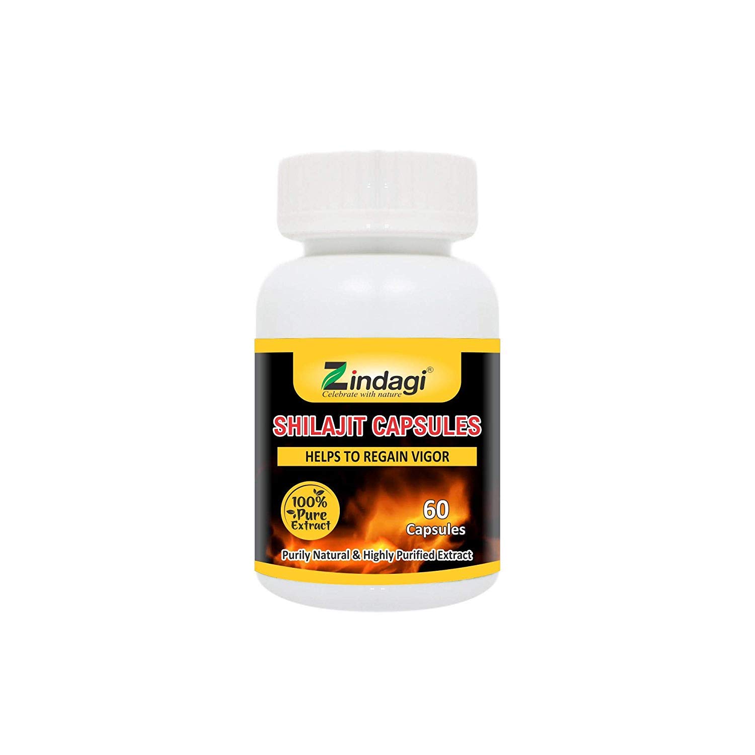 Zindagi Shilajit Extract Capsules - Strength & Stamina for Men - 100% Natural & Pure Shilajit Extract (60 Capsules)