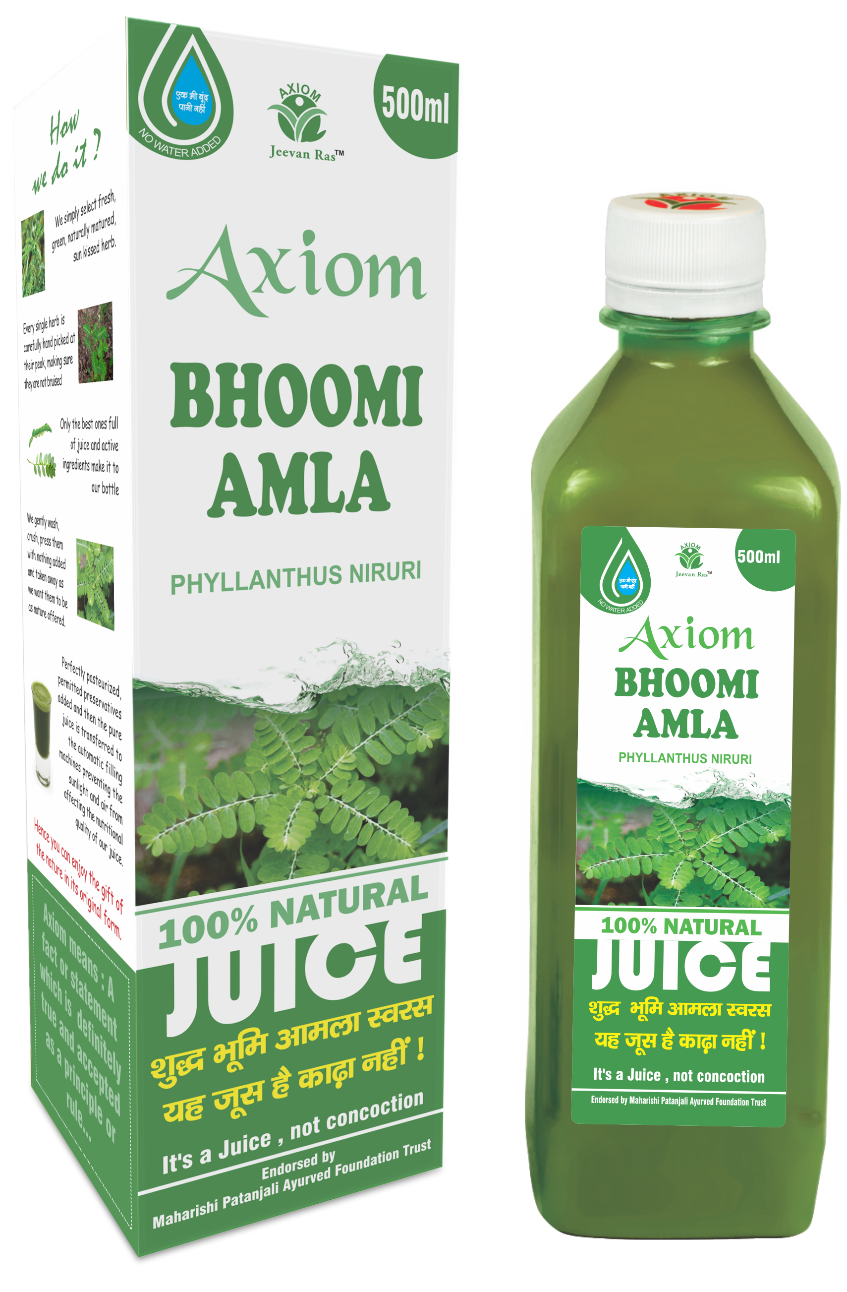 Axiom Bhoomi Amla Juice
