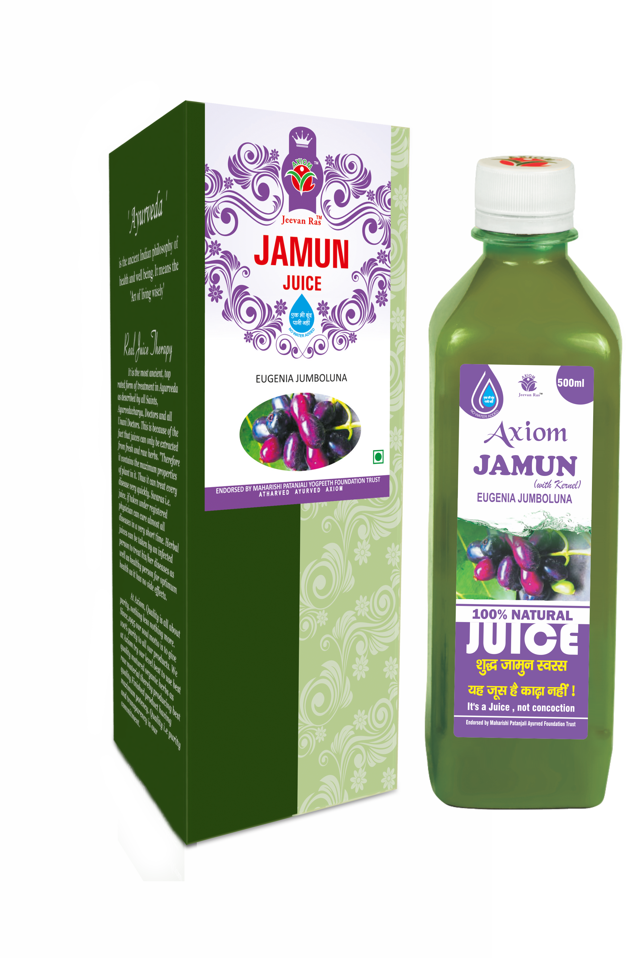 Axiom Jamun Swaras