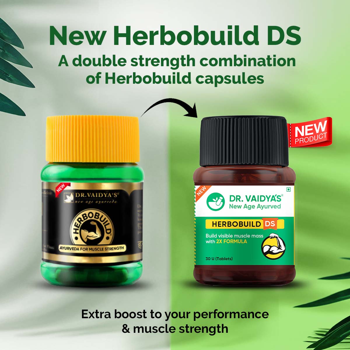Buy Dr vaidya's Herbobuild DS( Double strength) -30 CAPSULES at Best Price Online