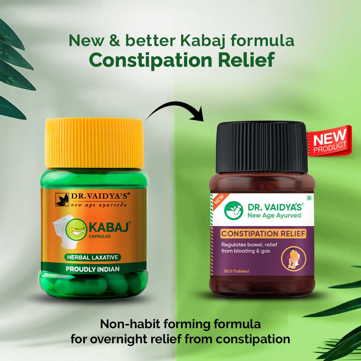 Buy DR VAIDYA'S CONSTIPATION RELIEF -30 CAPSULES at Best Price Online