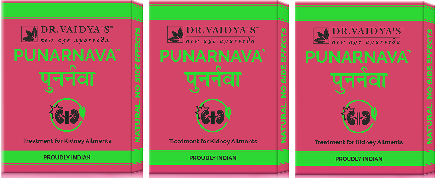 Buy Dr Vaidya Punarnava Pills Pack of 3 (72 Pills) at Best Price Online