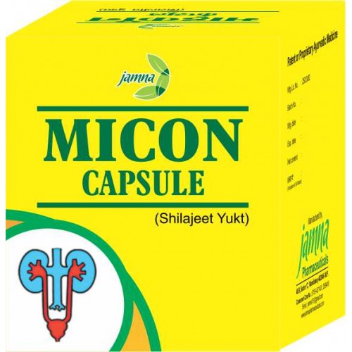 Jamna Micon Capsule Shilajeet Yukt