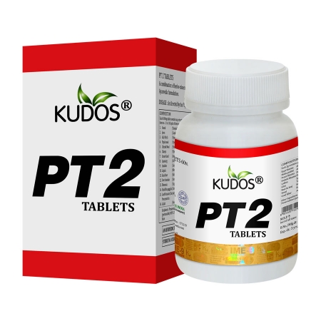 Kudos PT-2 Tablet