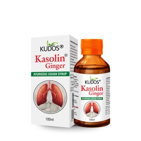 Buy Kudos Kasolin Ginger Syrup at Best Price Online