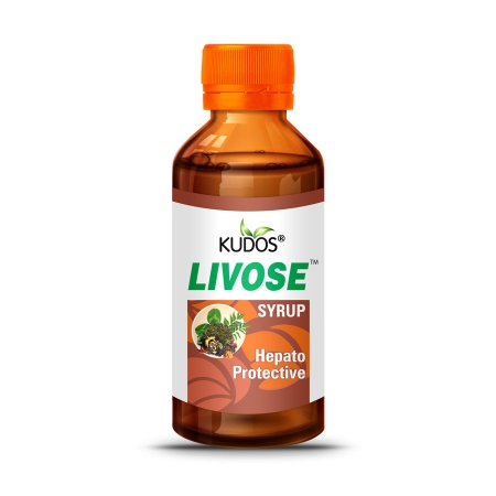 Kudos Livose Syrup